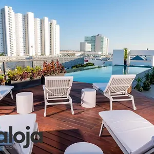  Appartement Torre Sofia Magnific & Estudios With Great Amenities Mexique
