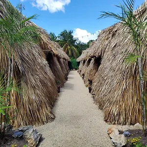  Camping Hakuna Matata Glamping Mexique