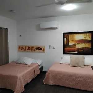  Appartement Estudio Zona Centro Cerca De La Terminal Ado Mexique